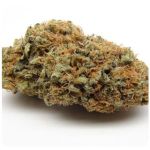 Шишки AK47 (Гидропоника, Бошка) VHQ в Калаче-на-Дону Шишки AK47 (Гидропоника, Бошка) VHQ в Калаче-на-Дону